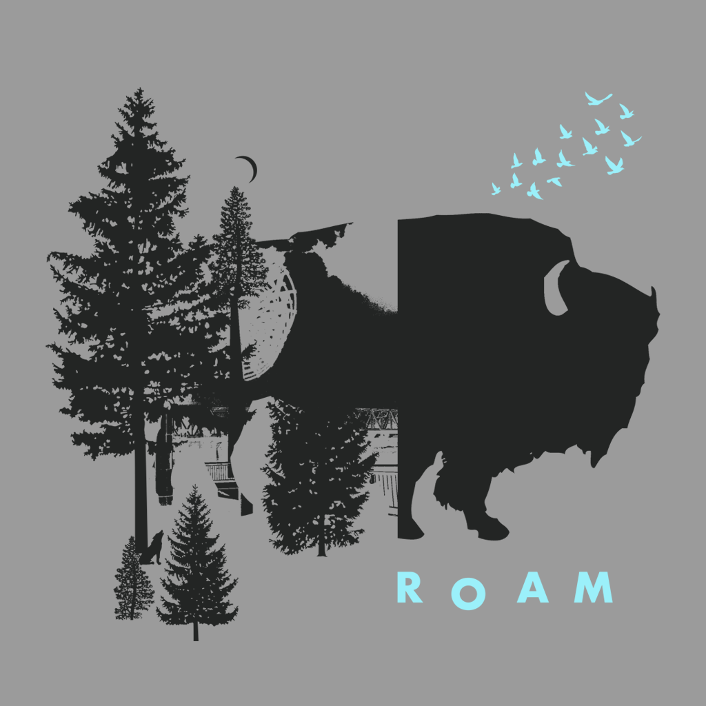 Buffalo Roam Graphic Tee | Goods for Outdoors folks | The Social Dept